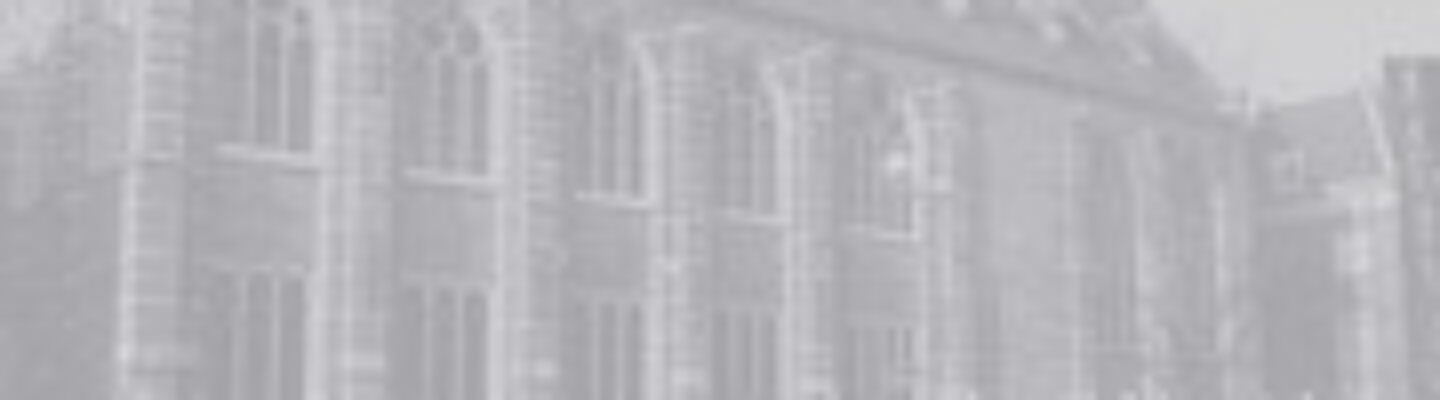 leiden-journal-of-international-law leiden-journal-of-international-law